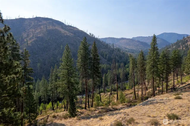 a view of a dry top field