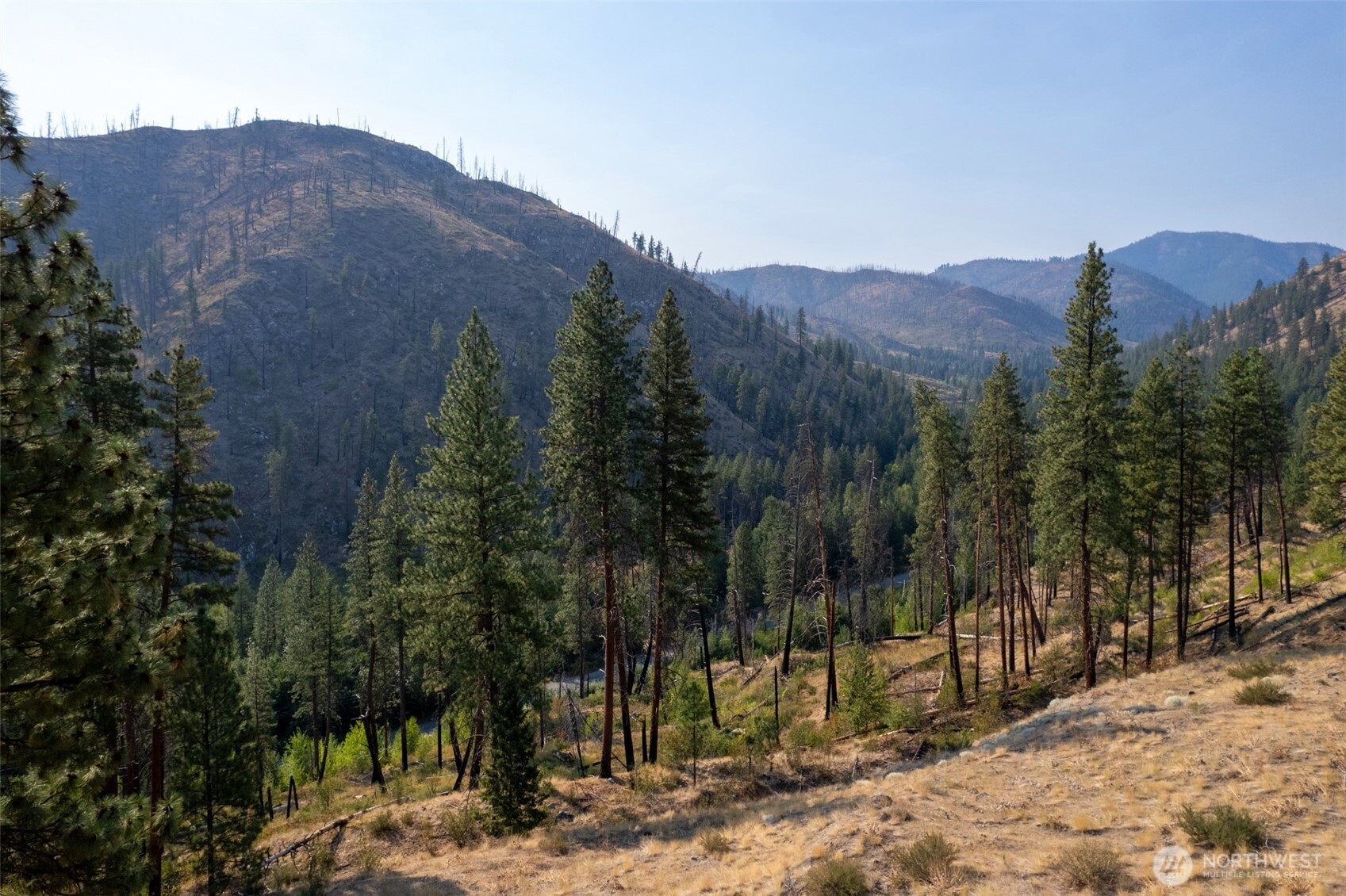 88-tbd Gold Creek Road Carlton, WA 98814 - Photo 30 of 39 a view of a dry top field
