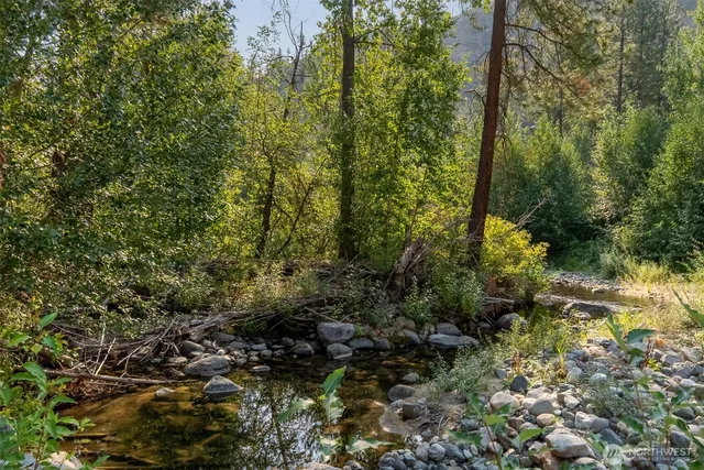a view of a forest with trees