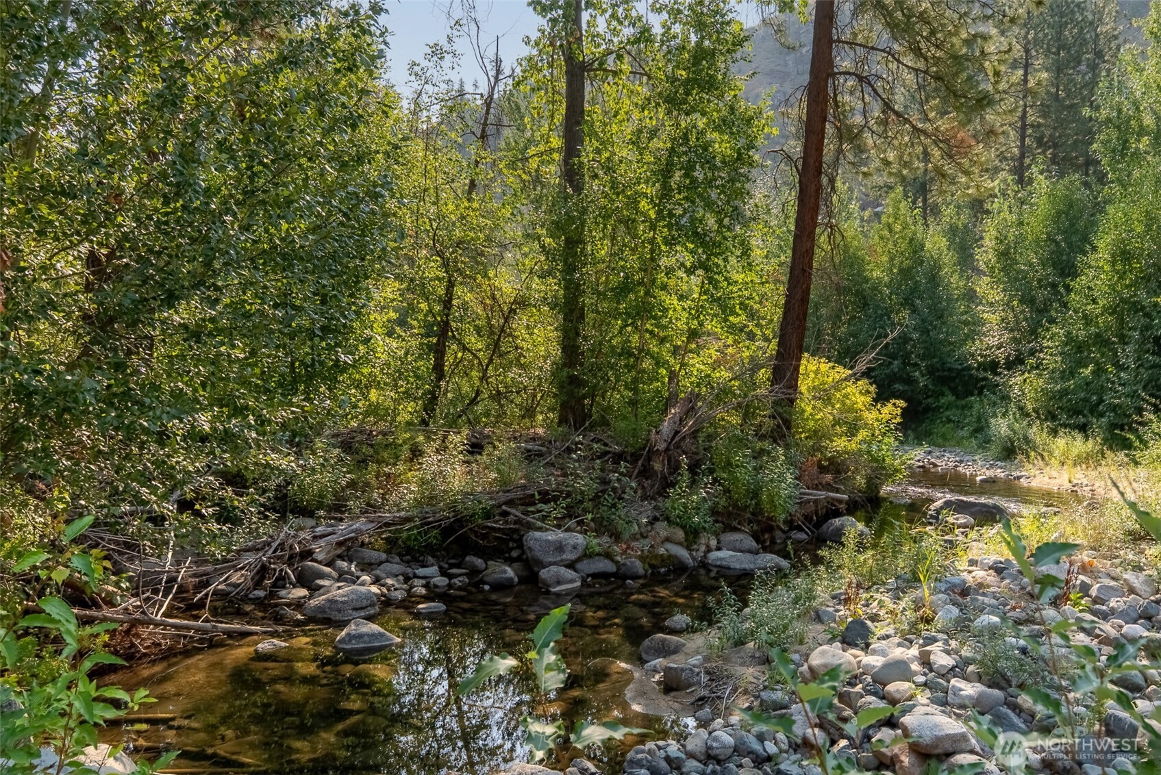 88-tbd Gold Creek Road Carlton, WA 98814 - Photo 3 of 39 a view of a forest with trees