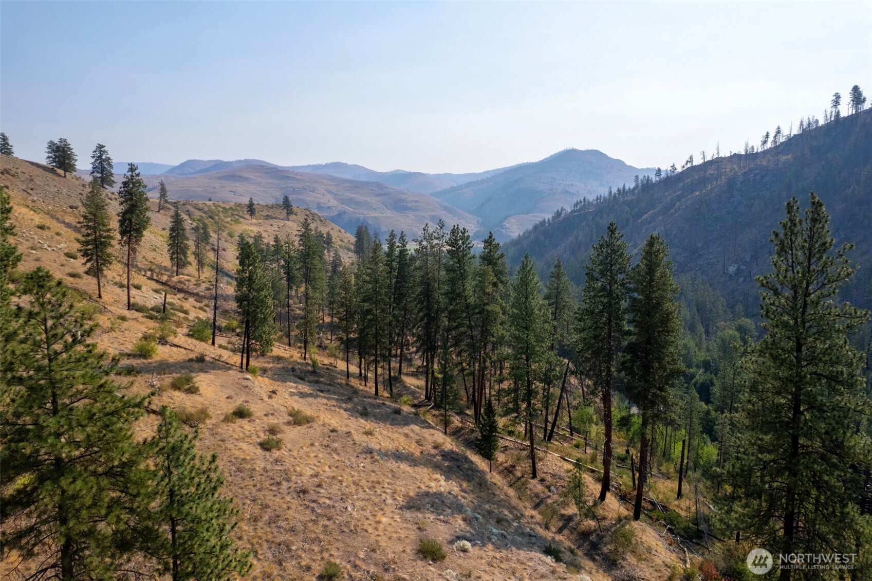 88-tbd Gold Creek Road Carlton, WA 98814 - Photo 32 of 39 a view of a mountain