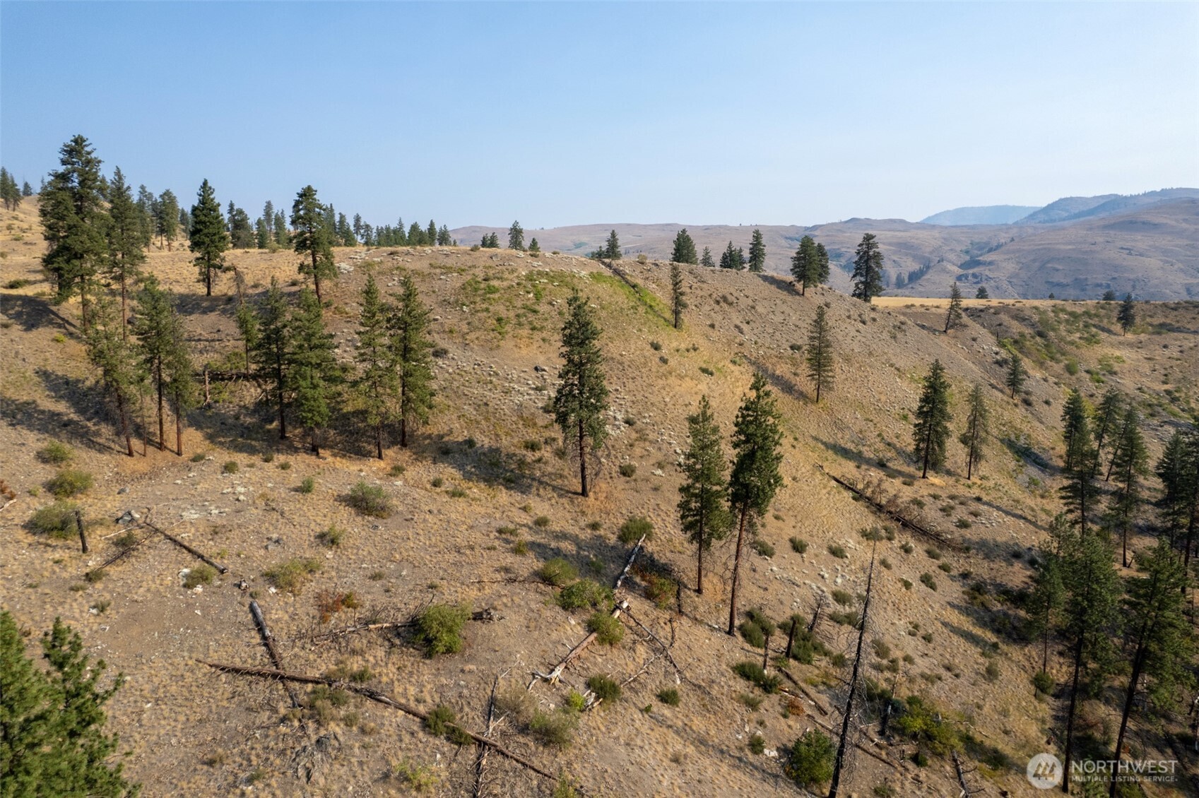 88-tbd Gold Creek Road Carlton, WA 98814 - Photo 33 of 39