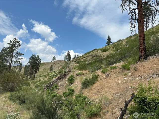 a view of a yard with trees
