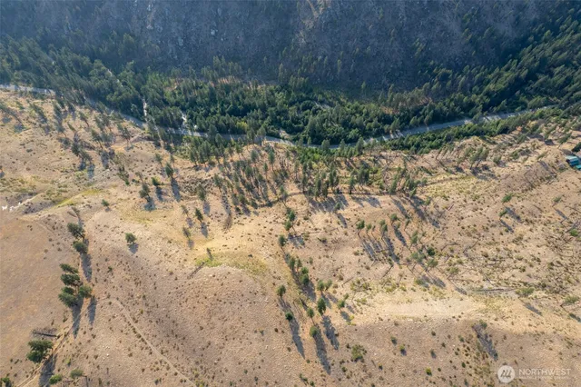 a view of a yard with a tree