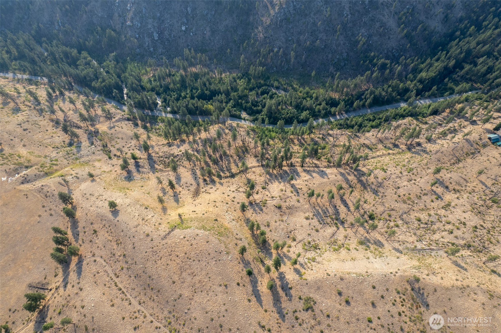 88-tbd Gold Creek Road Carlton, WA 98814 - Photo 38 of 39 a view of a yard with trees
