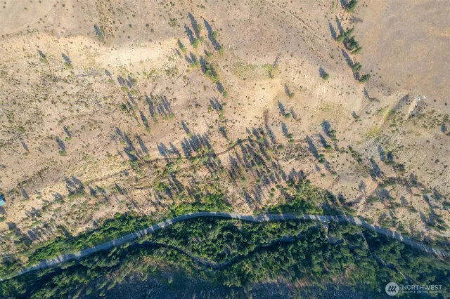 $175,000 | 88-tbd Gold Creek Road, Carlton, WA 98814