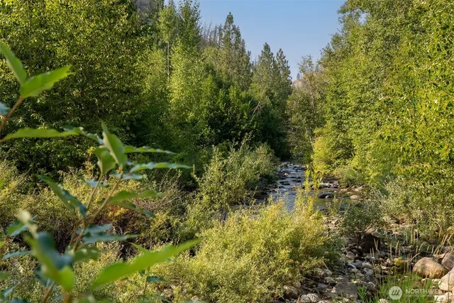 a view of a garden with plants and large trees