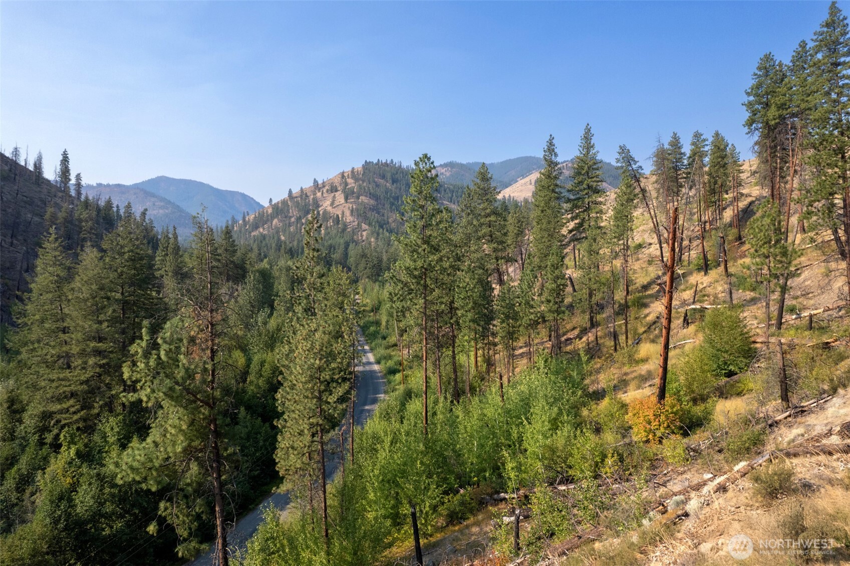 88-tbd Gold Creek Road Carlton, WA 98814 - Photo 6 of 39 a view of a yard