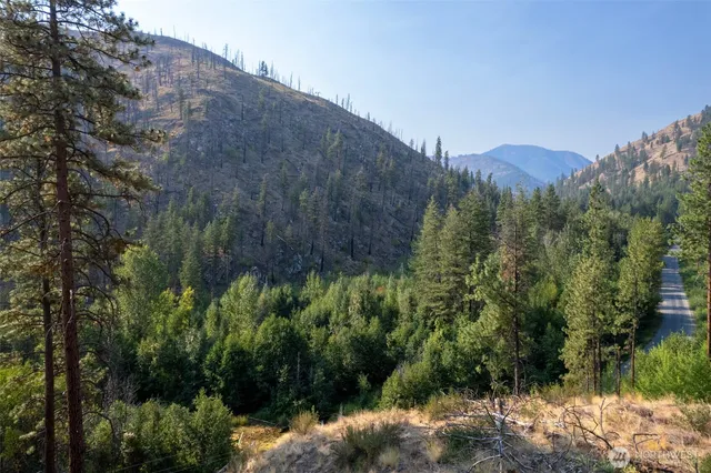 a view of a back yard