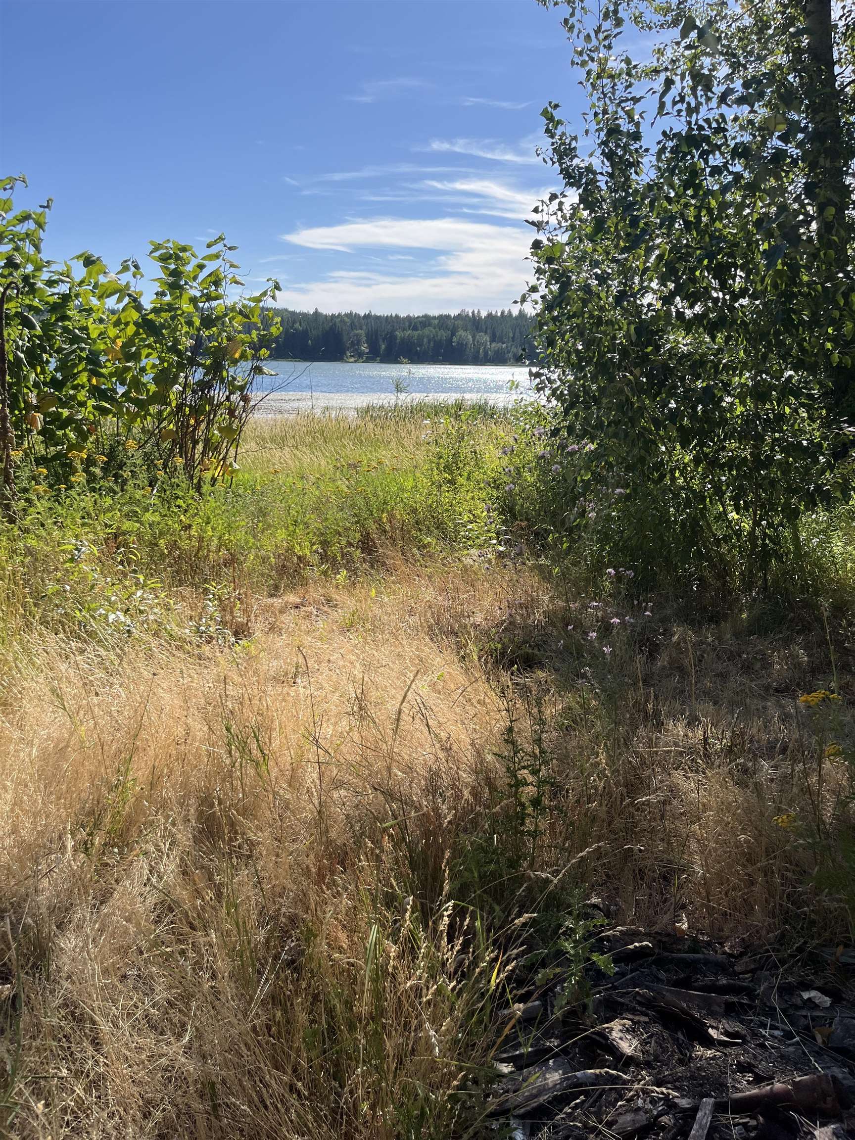 40211 North Grays Lane Elk, WA 99009 - Photo 15 of 27