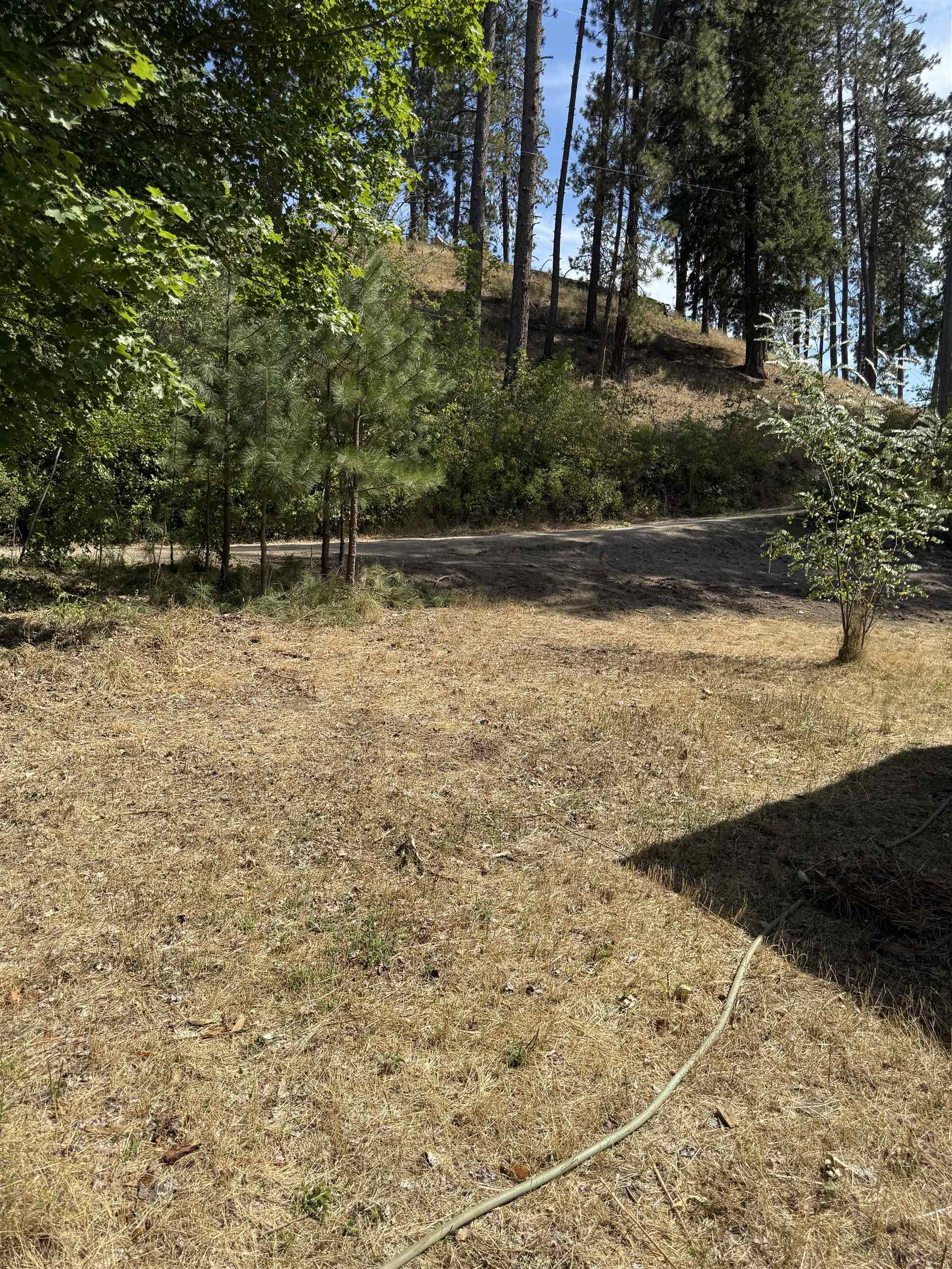 40211 North Grays Lane Elk, WA 99009 - Photo 20 of 27