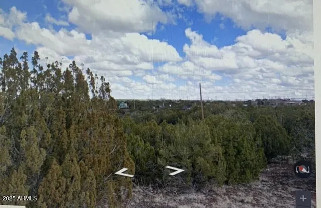 a view of a dry yard