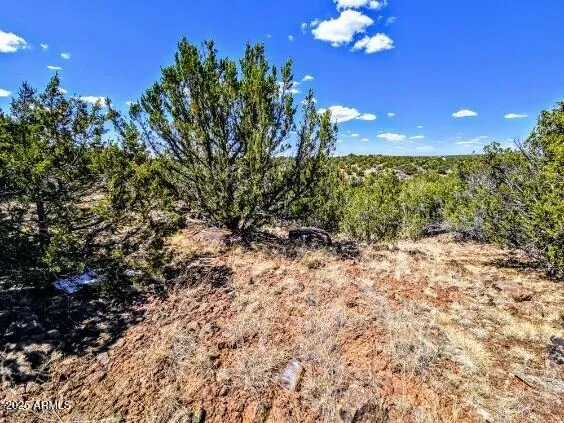 a view of a house with a tree