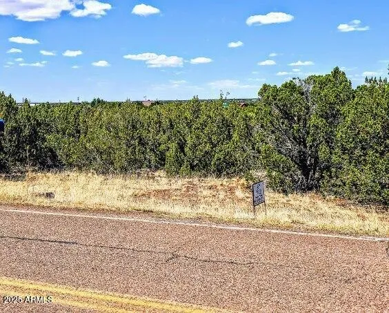 a view of a yard with an outdoor space