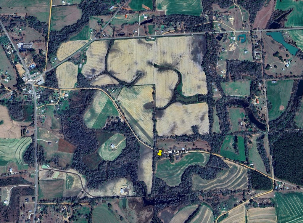 4.9-acres Grady Garner Road Slocomb, AL 36375 - Photo 68 of 70