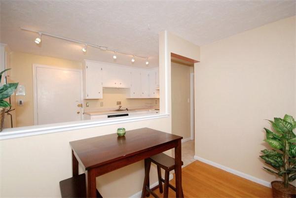 20 Hamilton Road, Unit 301 Arlington, MA 02474 - Photo 7 of 13 Gallery Image 7