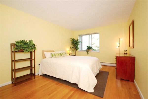 20 Hamilton Road, Unit 301 Arlington, MA 02474 - Photo 9 of 13 Gallery Image 9