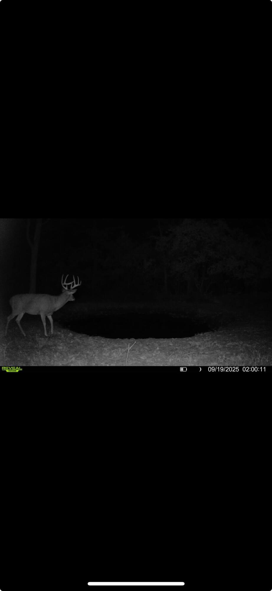 0 Kite Road St. Paris, OH 43072 - Photo 60 of 67 Gallery Image 60