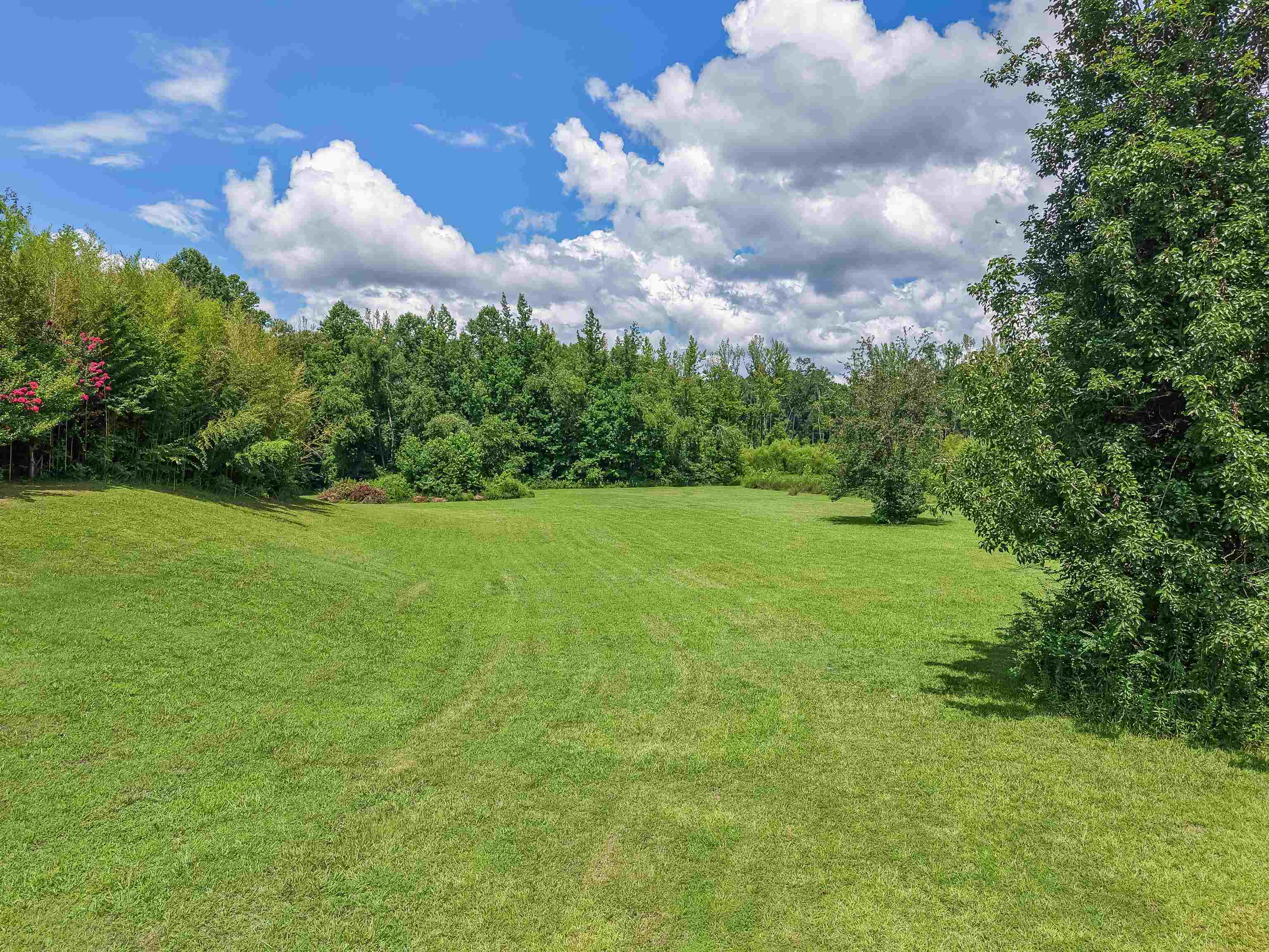 2380 Dunaway Road Selmer, TN 38375 - Photo 5 of 39 Expansive green lawn surrounded by mature trees and natural landscaping