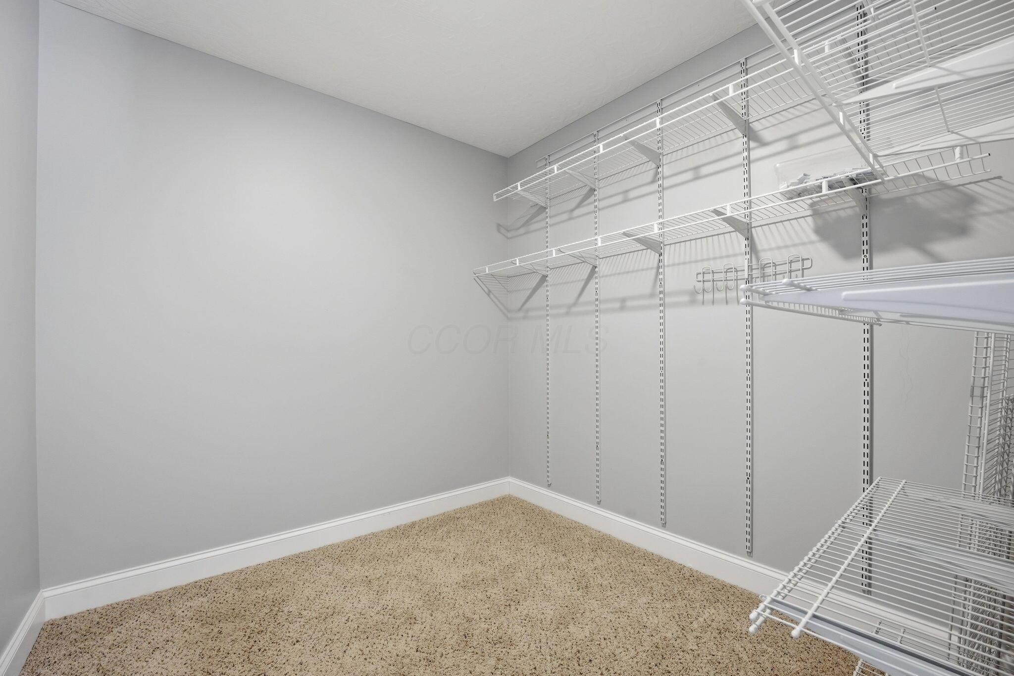 567 North Old State Road Delaware, OH 43015 - Photo 38 of 63 Primary Bedroom Walk-In Closet