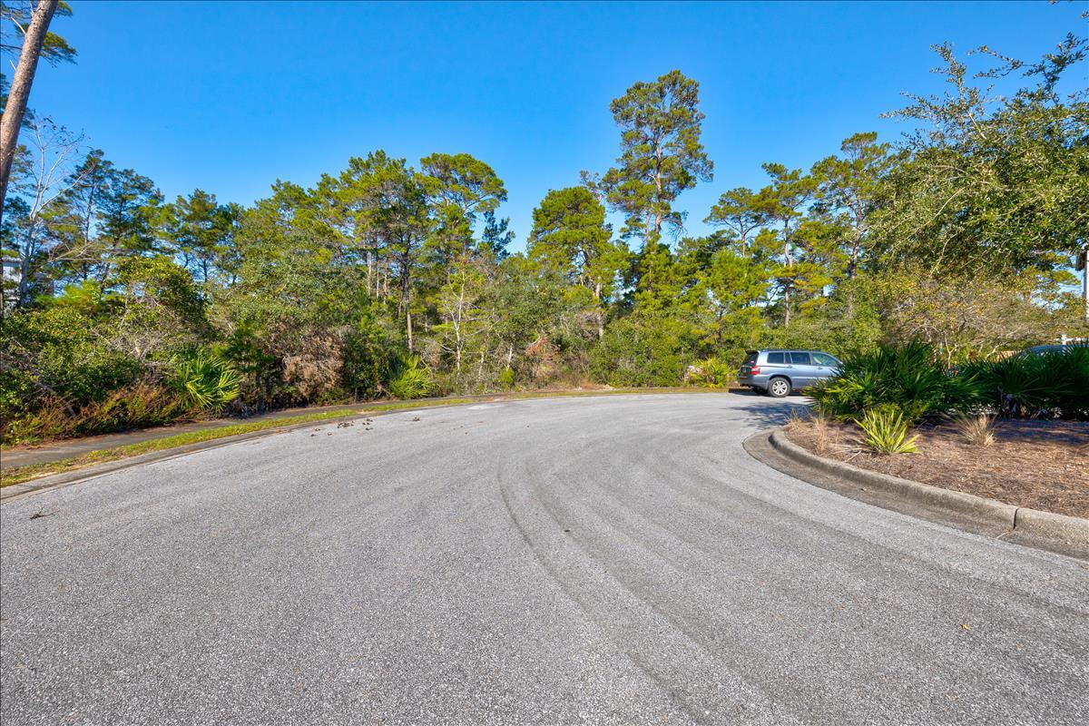 Lot 11 Pine Cone Trail Inlet Beach Inlet Beach, FL 32461 - Photo 11 of 15 a view of a street with a tree in front of it