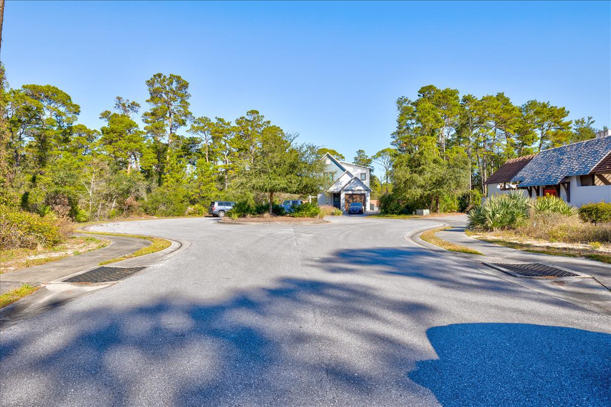 Lot 11 Pine Cone Trail Inlet Beach Inlet Beach, FL 32461 - Photo 10 of 15 a view of street with houses