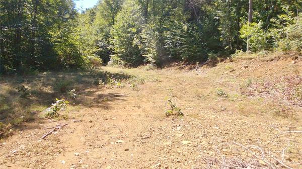24 Reed Hill Road Wales, MA 01081 - Photo 12 of 15 Gallery Image 12