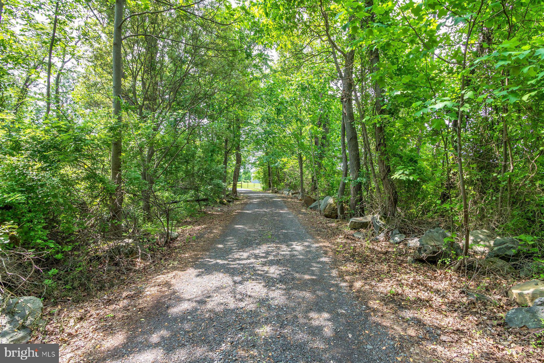80 Linvale Road Ringoes, NJ 08551 - Photo 43 of 43 Long Private Drive to the Home