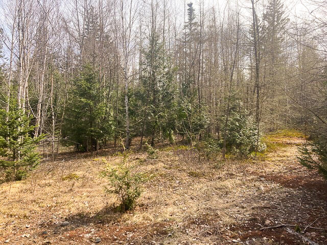 M13-l4 Pond Road Gouldsboro, ME 04607 - Photo 3 of 13 Clearing from ground