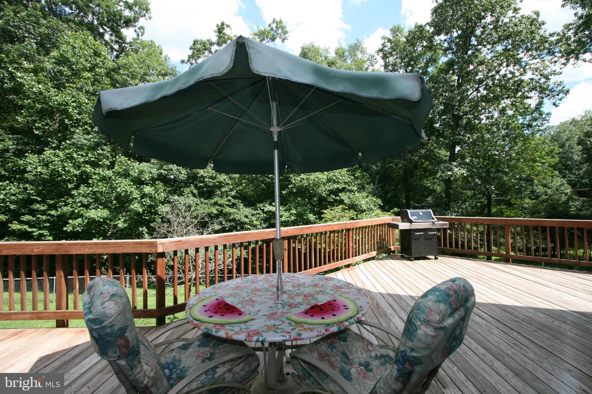 4127 Bartholows Road Mount Airy, MD 21771 - Photo 53 of 79 Gallery Image 53