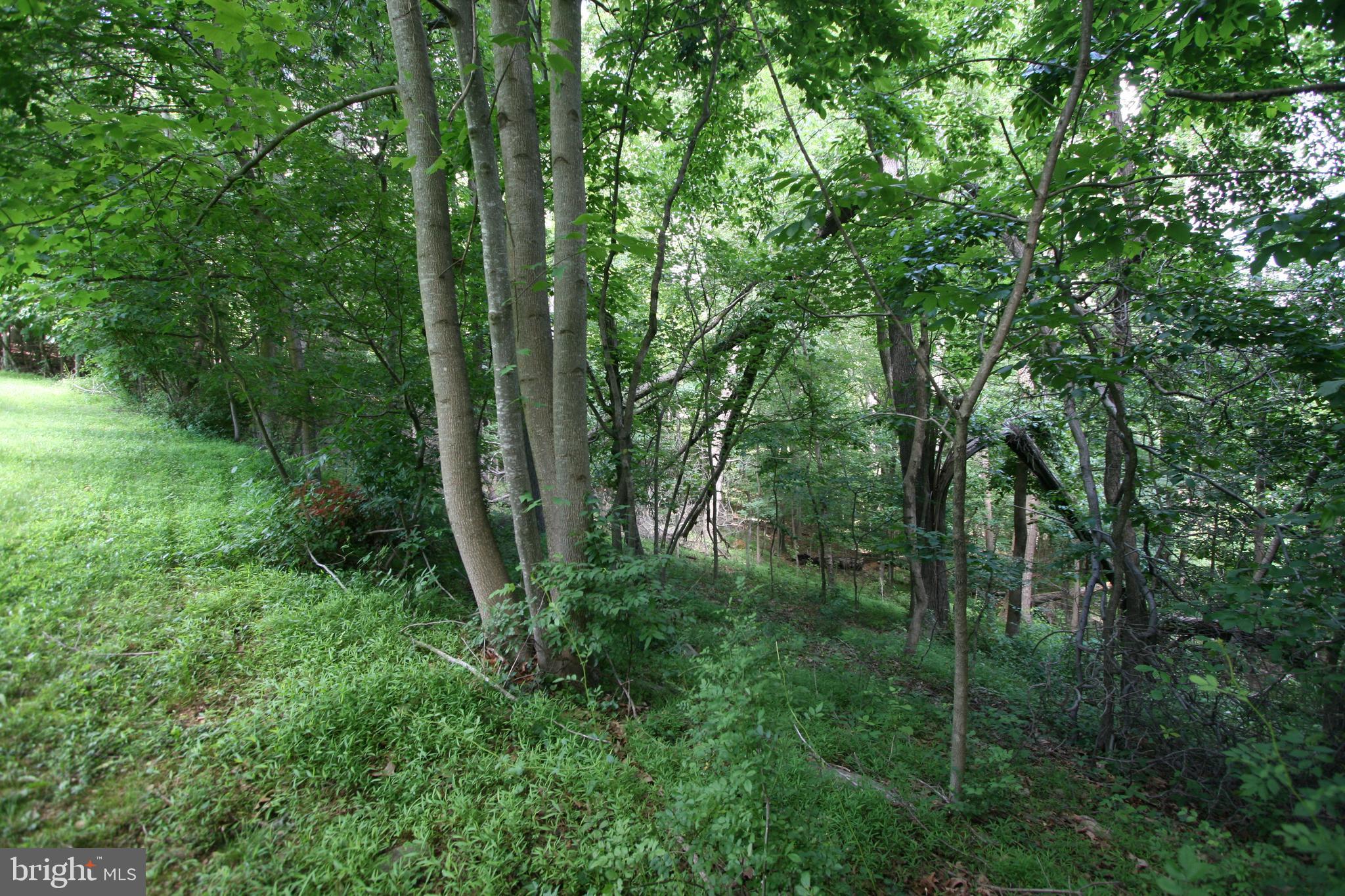 4127 Bartholows Road Mount Airy, MD 21771 - Photo 70 of 79 Gallery Image 70