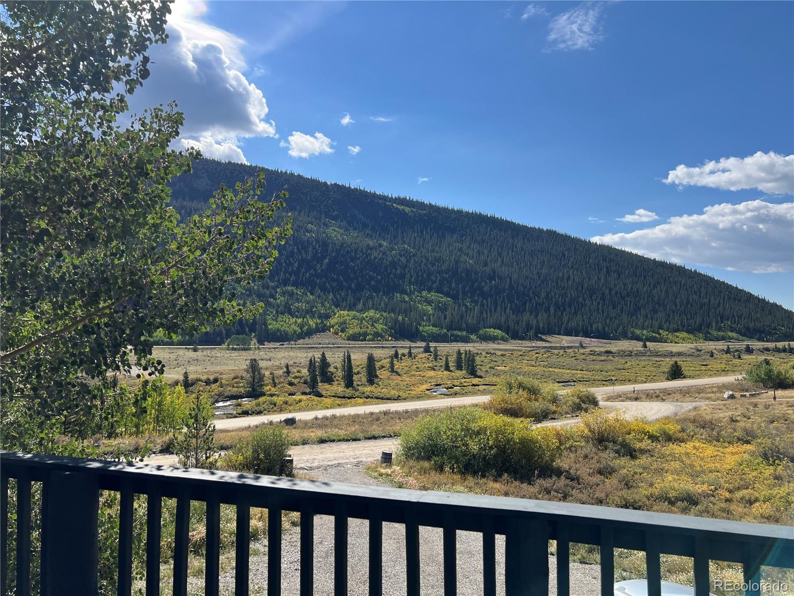 141 Quartzville Road Alma, CO 80420 - Photo 4 of 24