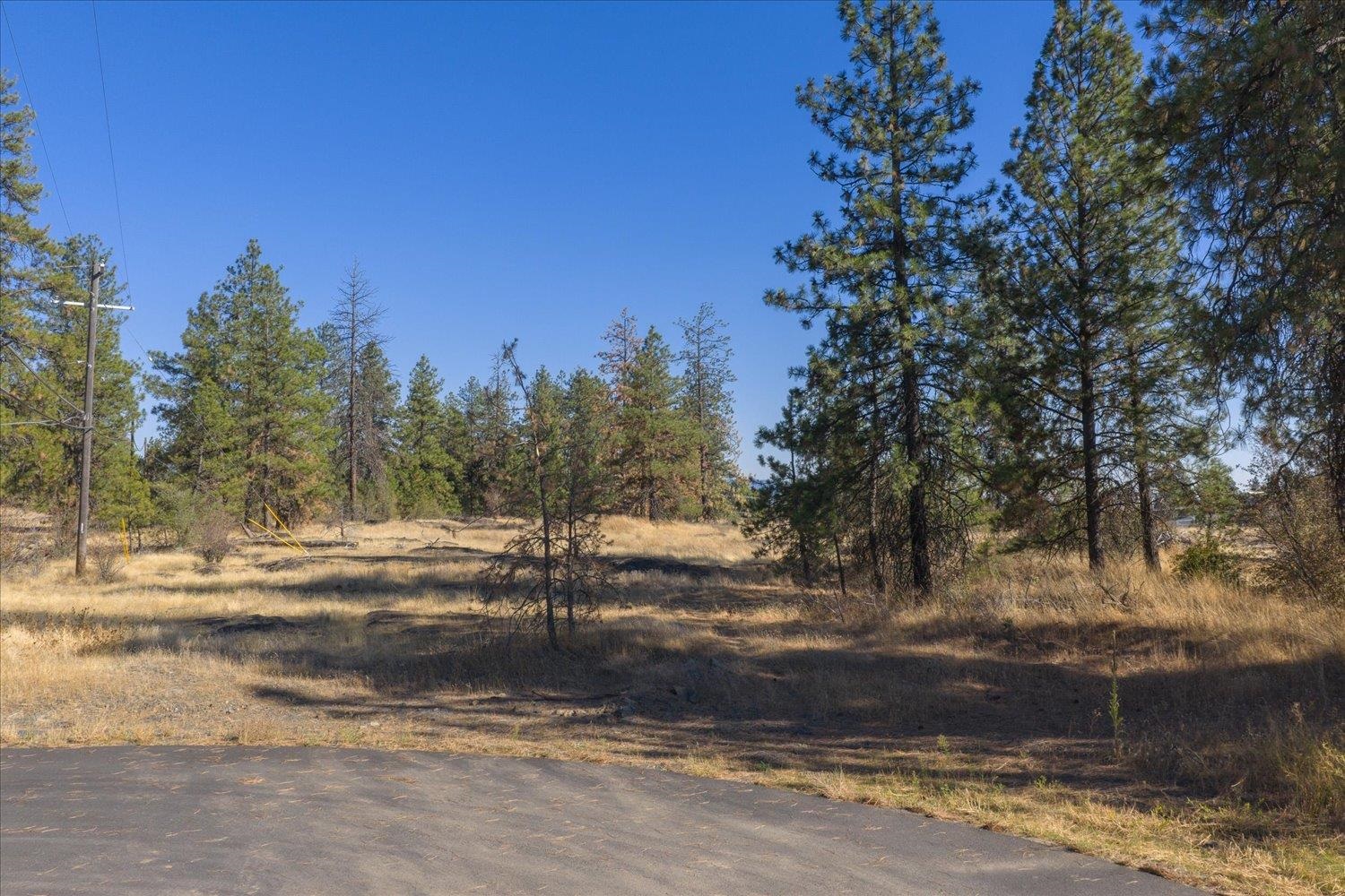 3811 West Cliffside Lane Spokane, WA 99224 - Photo 16 of 22