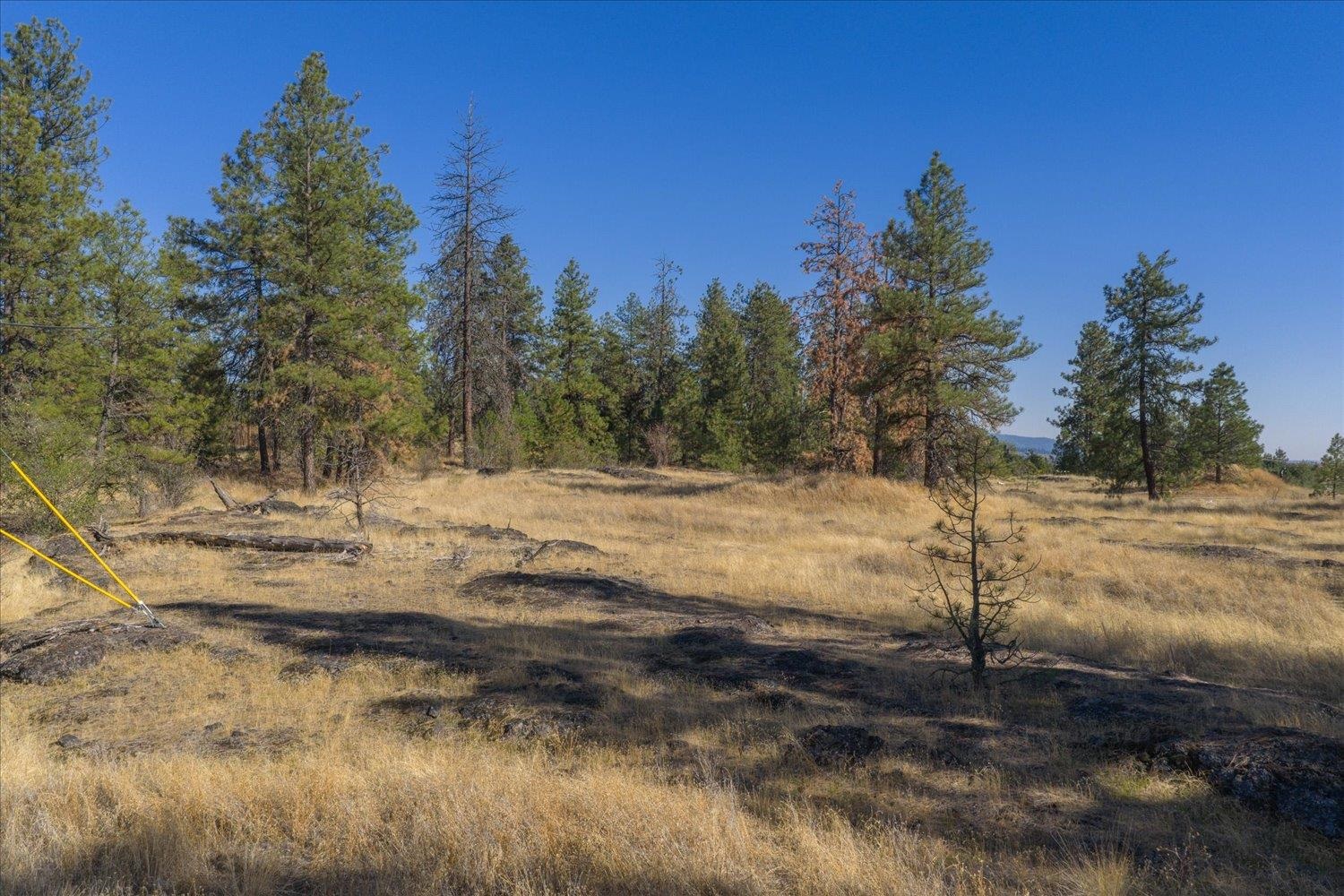 3811 West Cliffside Lane Spokane, WA 99224 - Photo 9 of 22