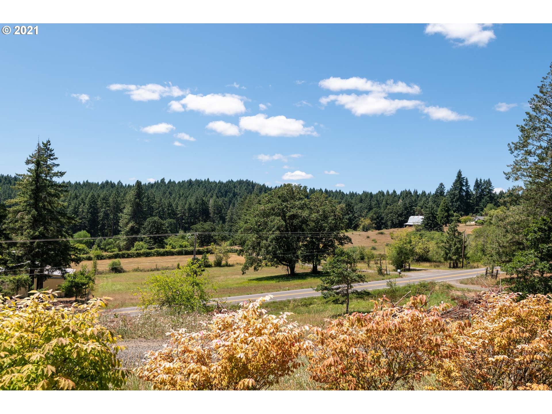 25255 Lawrence Road Junction City, OR 97448 - Photo 32 of 32 Gallery Image 32