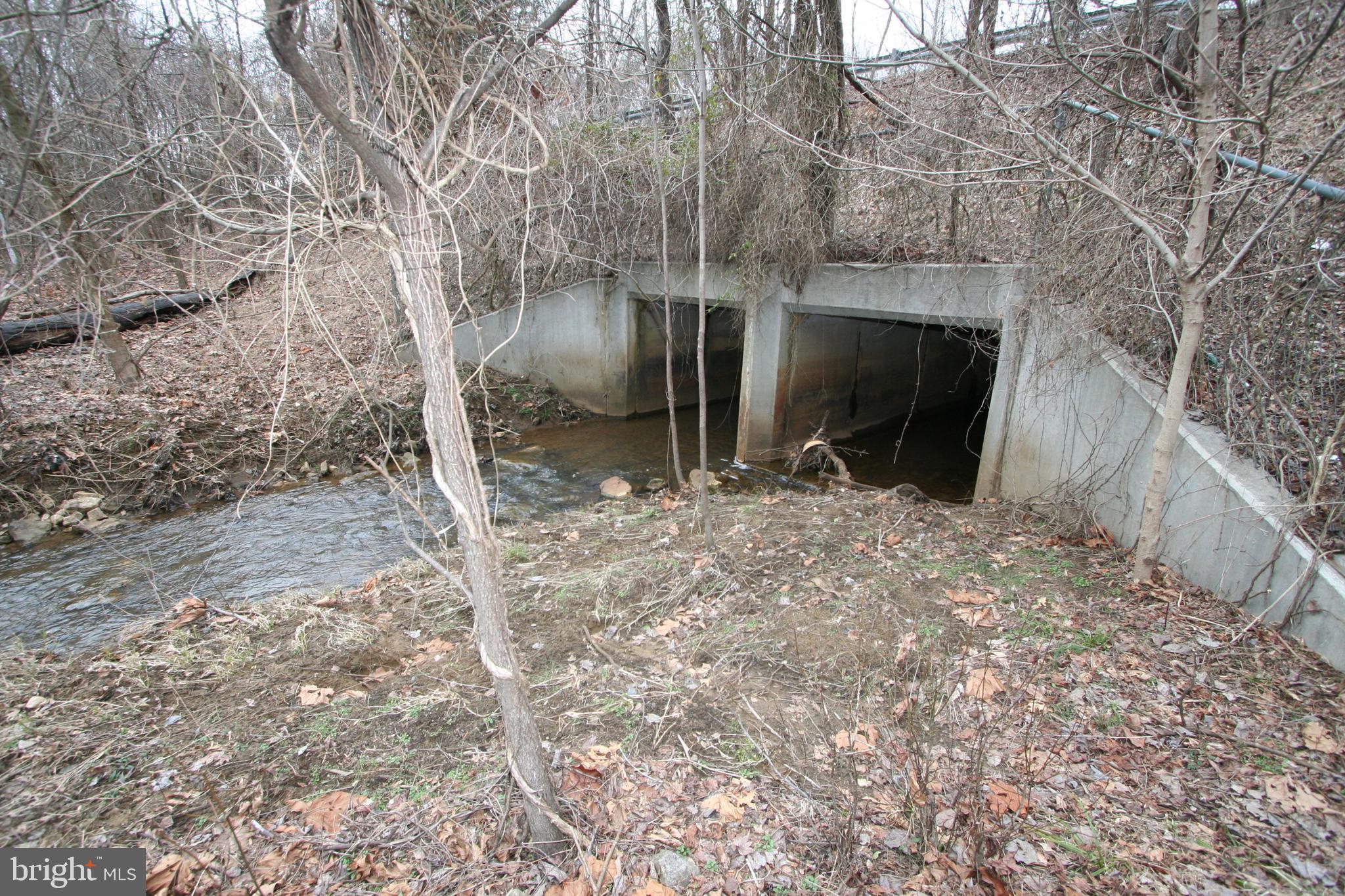 12207 Woodmore Road Bowie, MD 20721 - Photo 14 of 65 This is a creek is to the west of the land