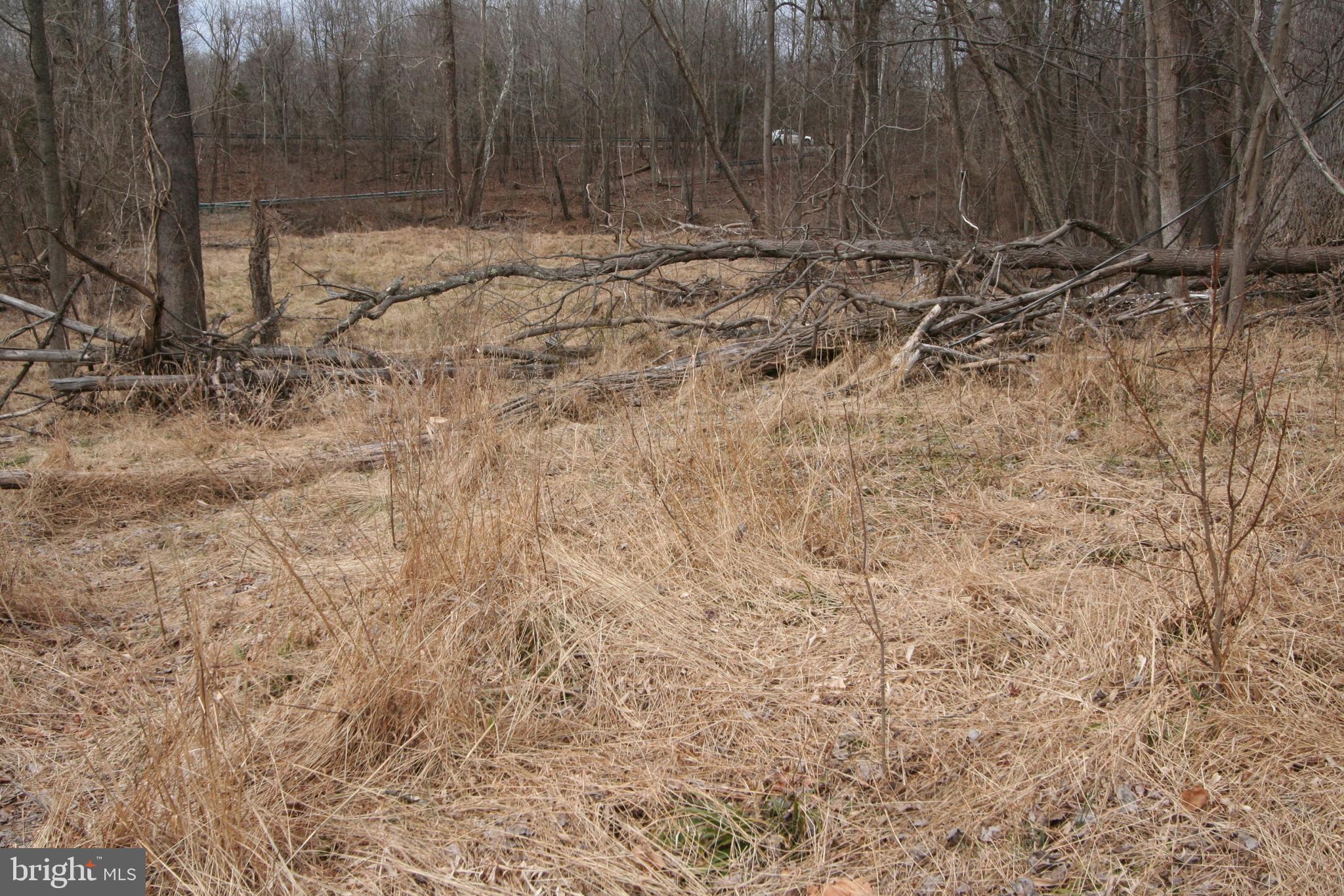 12207 Woodmore Road Bowie, MD 20721 - Photo 22 of 65 Gallery Image 22