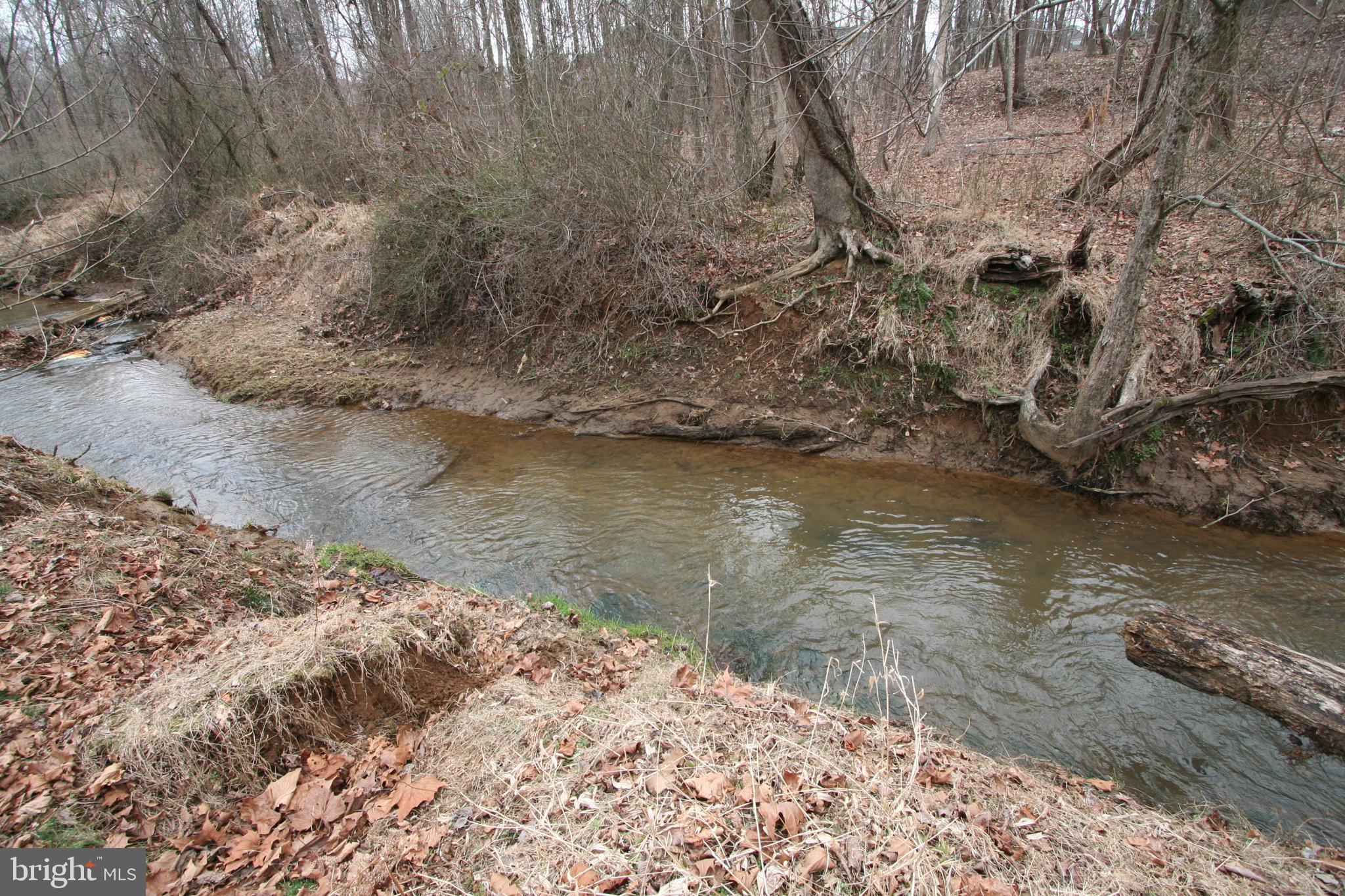 12207 Woodmore Road Bowie, MD 20721 - Photo 40 of 65 Creek to west of land, not on land