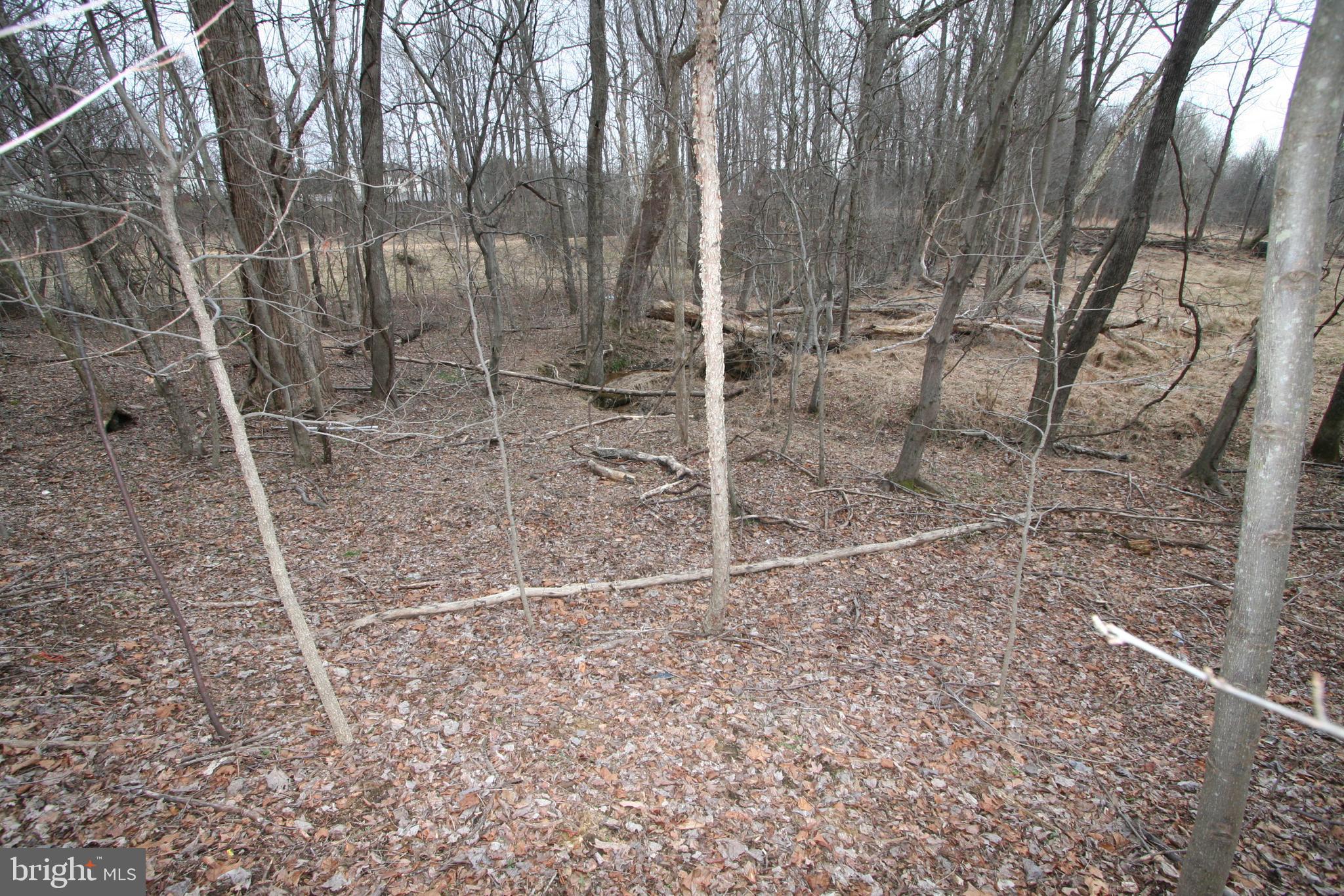 12207 Woodmore Road Bowie, MD 20721 - Photo 8 of 65 Gallery Image 8