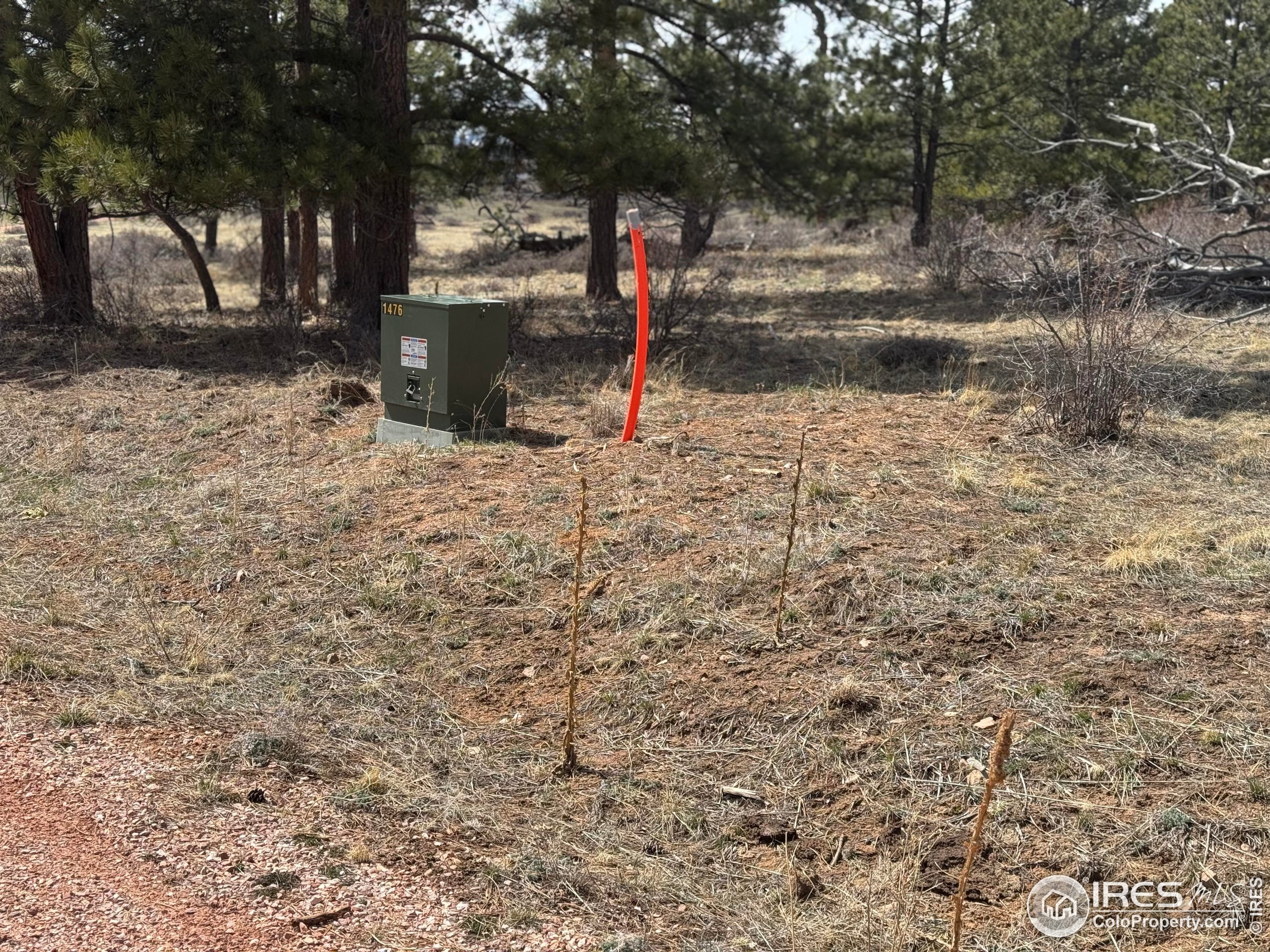 Shoshana Ranch Road Livermore, CO 80536 - Photo 5 of 16