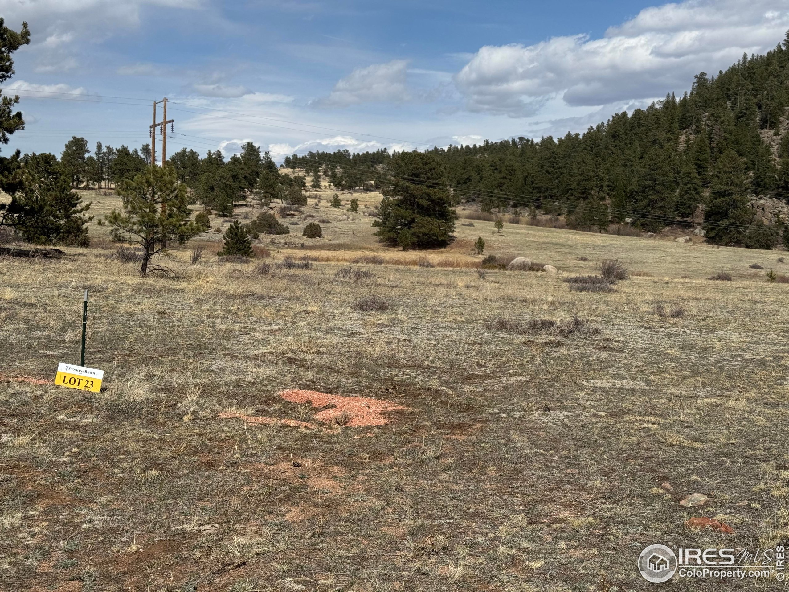 Shoshana Ranch Road Livermore, CO 80536 - Photo 10 of 16