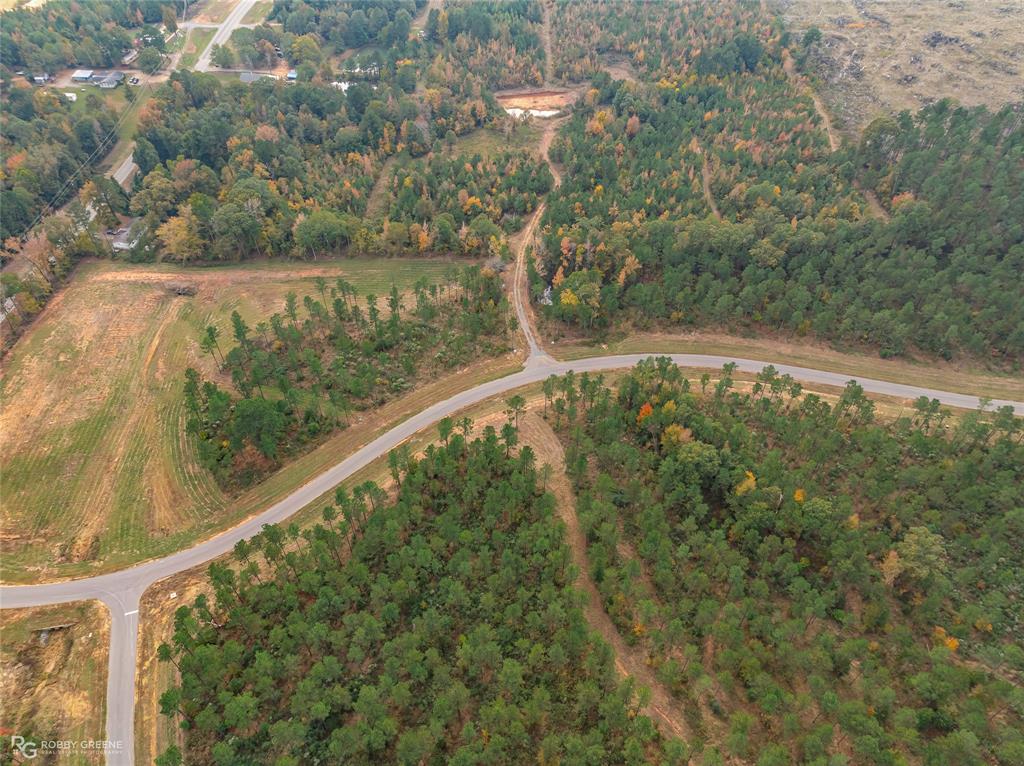 224 Millwood Loop, Unit 40 Minden, LA 71055 - Photo 15 of 19 a view of a yard with a tree
