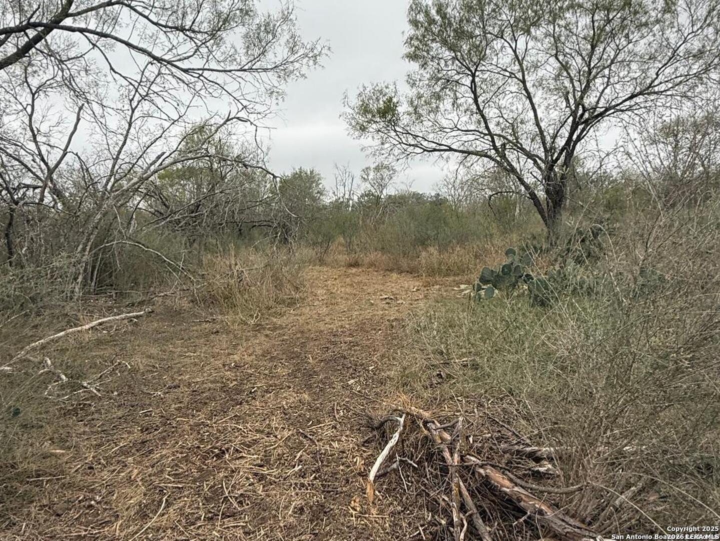 0 Gidley Road Atascosa, TX 78002 - Photo 20 of 29 Gallery Image 20