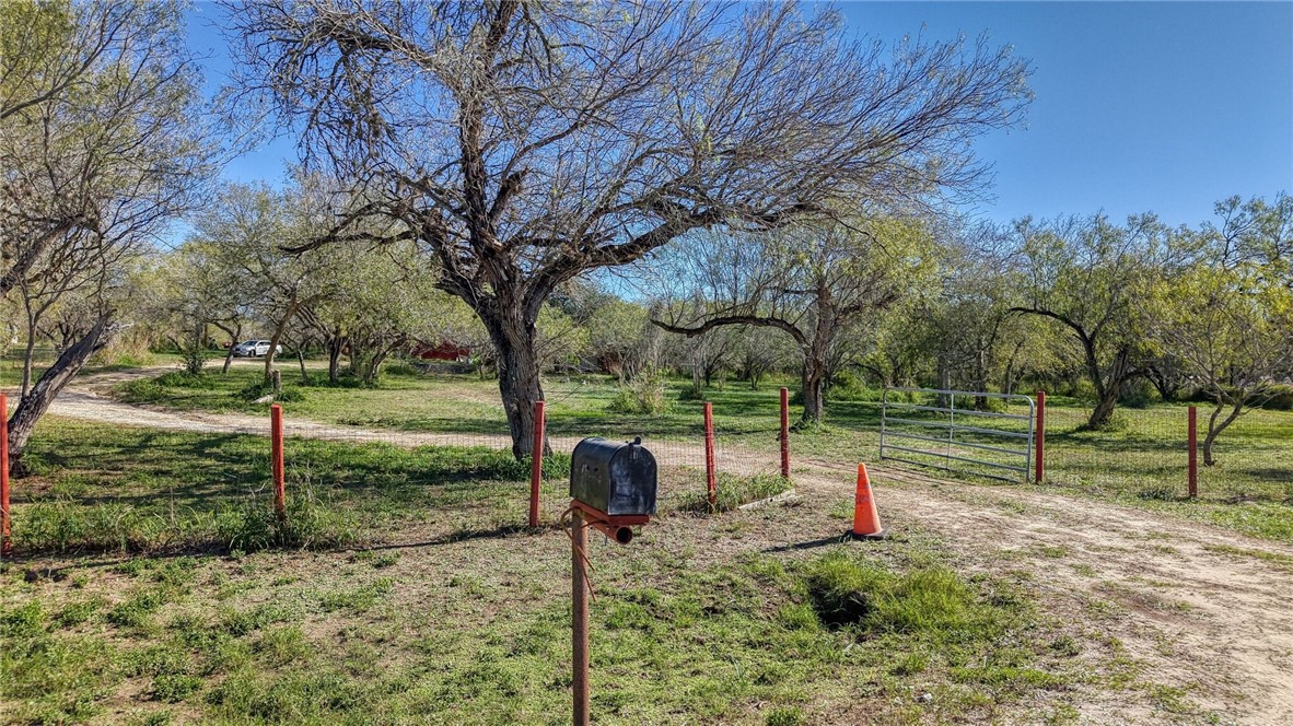 a view of a park