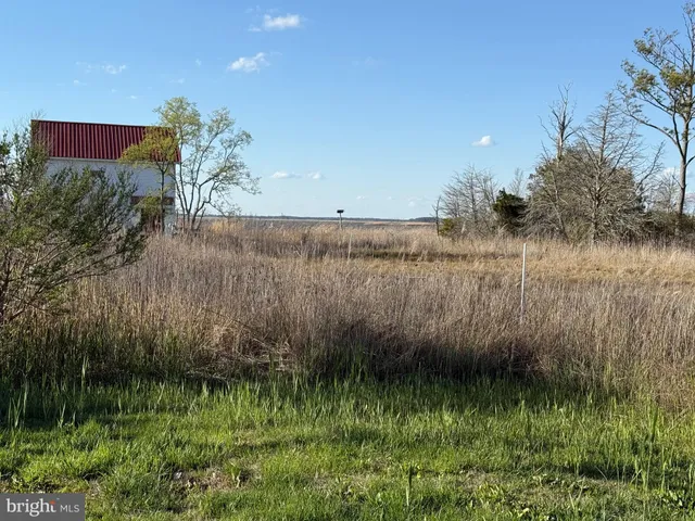 a view of a back yard of a house