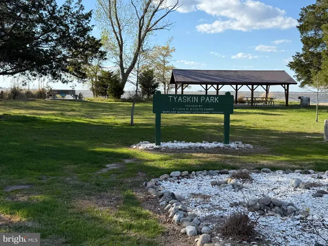 a view of a swimming pool with a yard