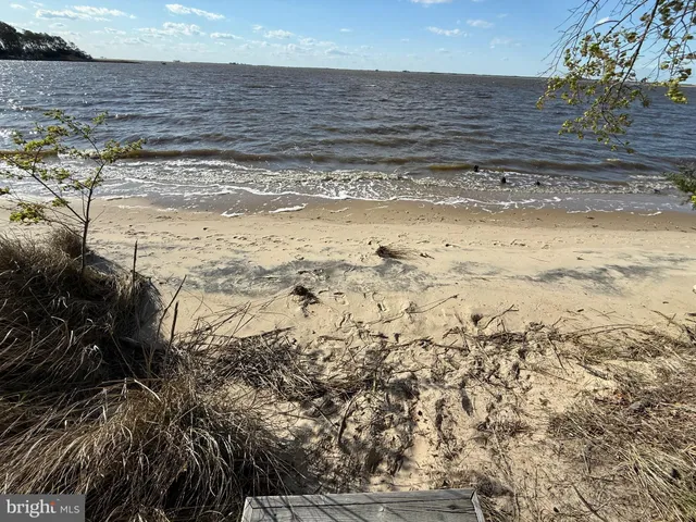 a view of a backyard of the house
