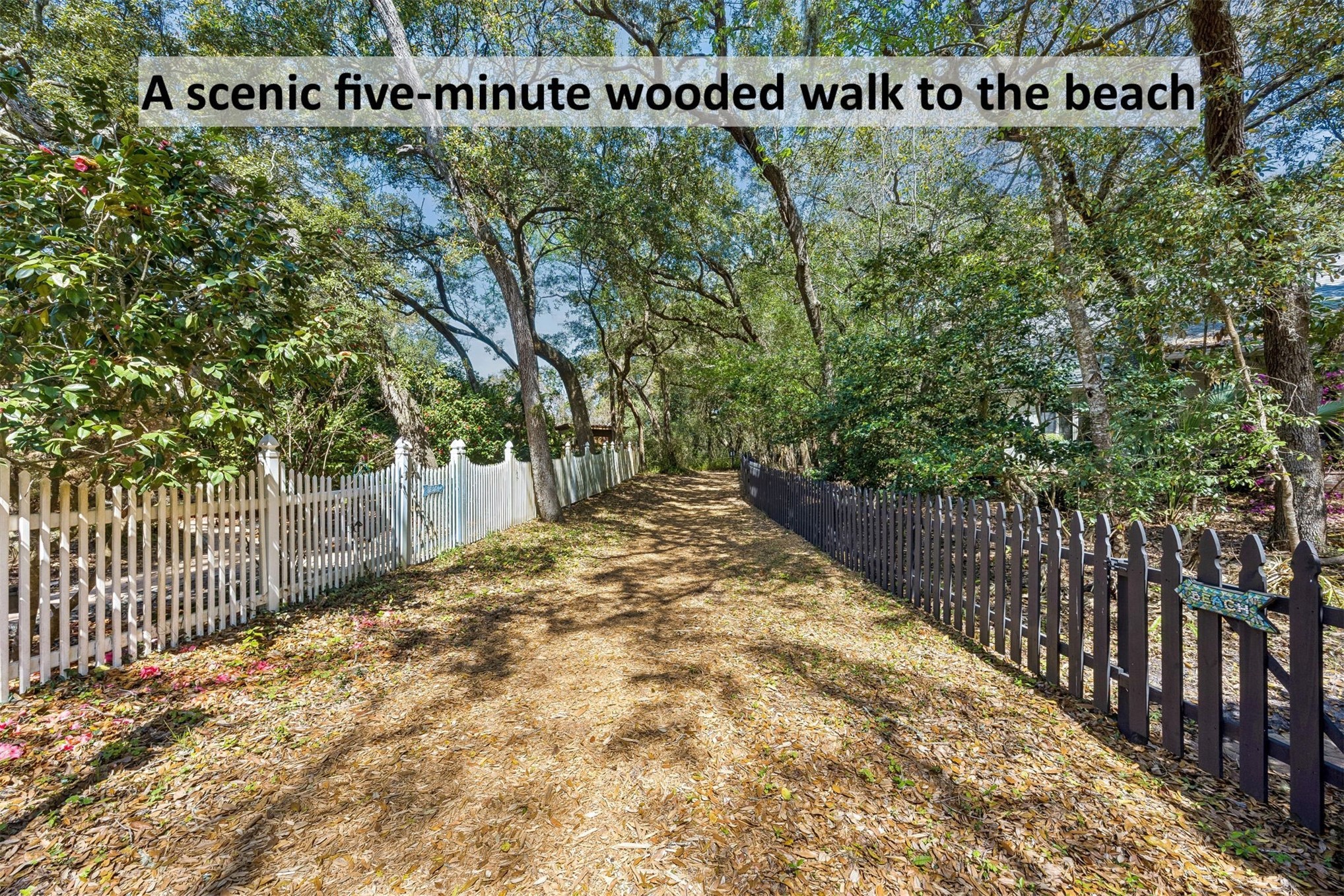 95406 Captains Way Fernandina Beach, FL 32034 - Photo 34 of 51 From here, a scenic wooded path leads you toward the beach in about five minutes.