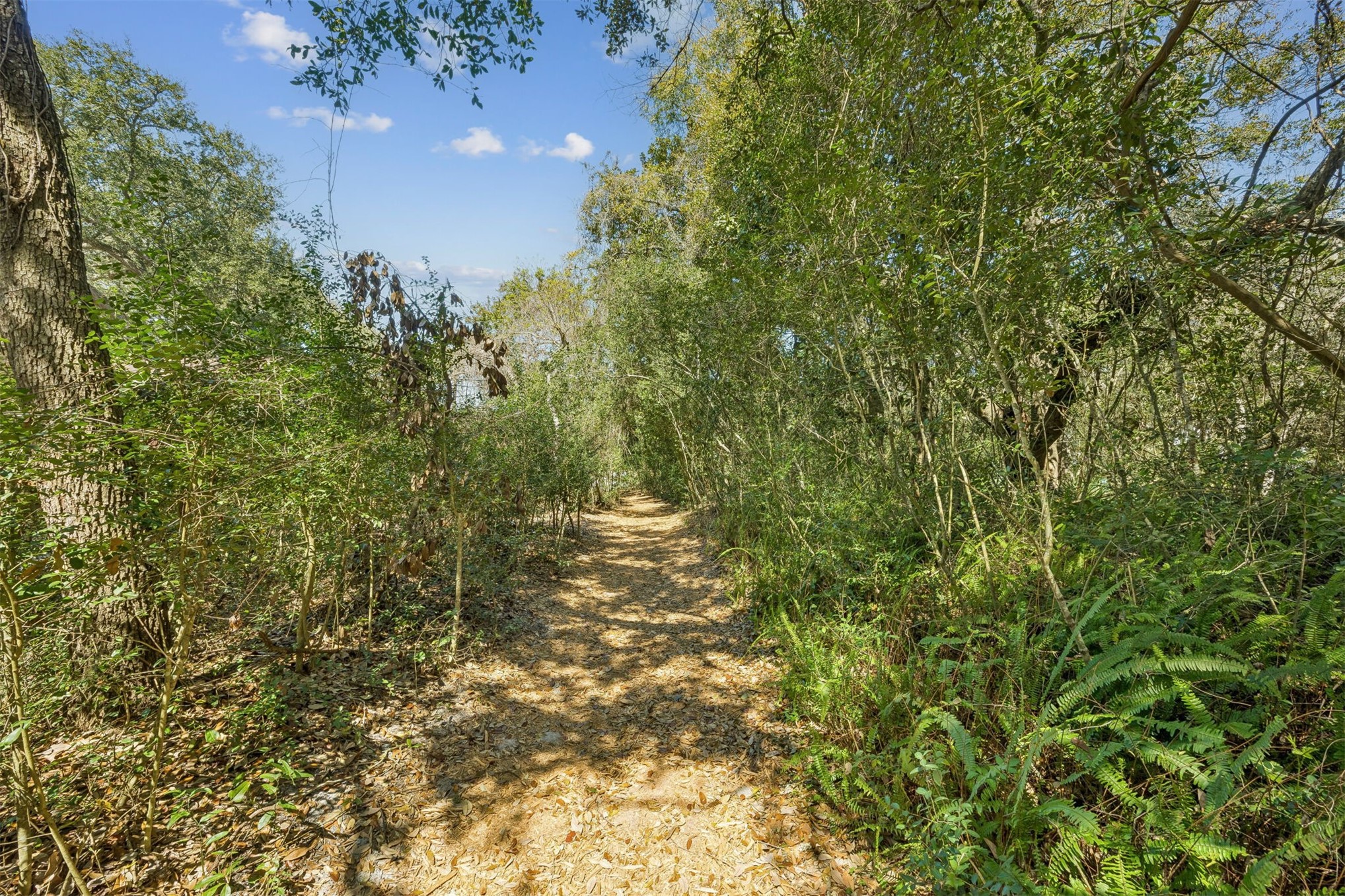 95406 Captains Way Fernandina Beach, FL 32034 - Photo 35 of 51 It is the kind of walk that makes getting there feel like part of the experience.
