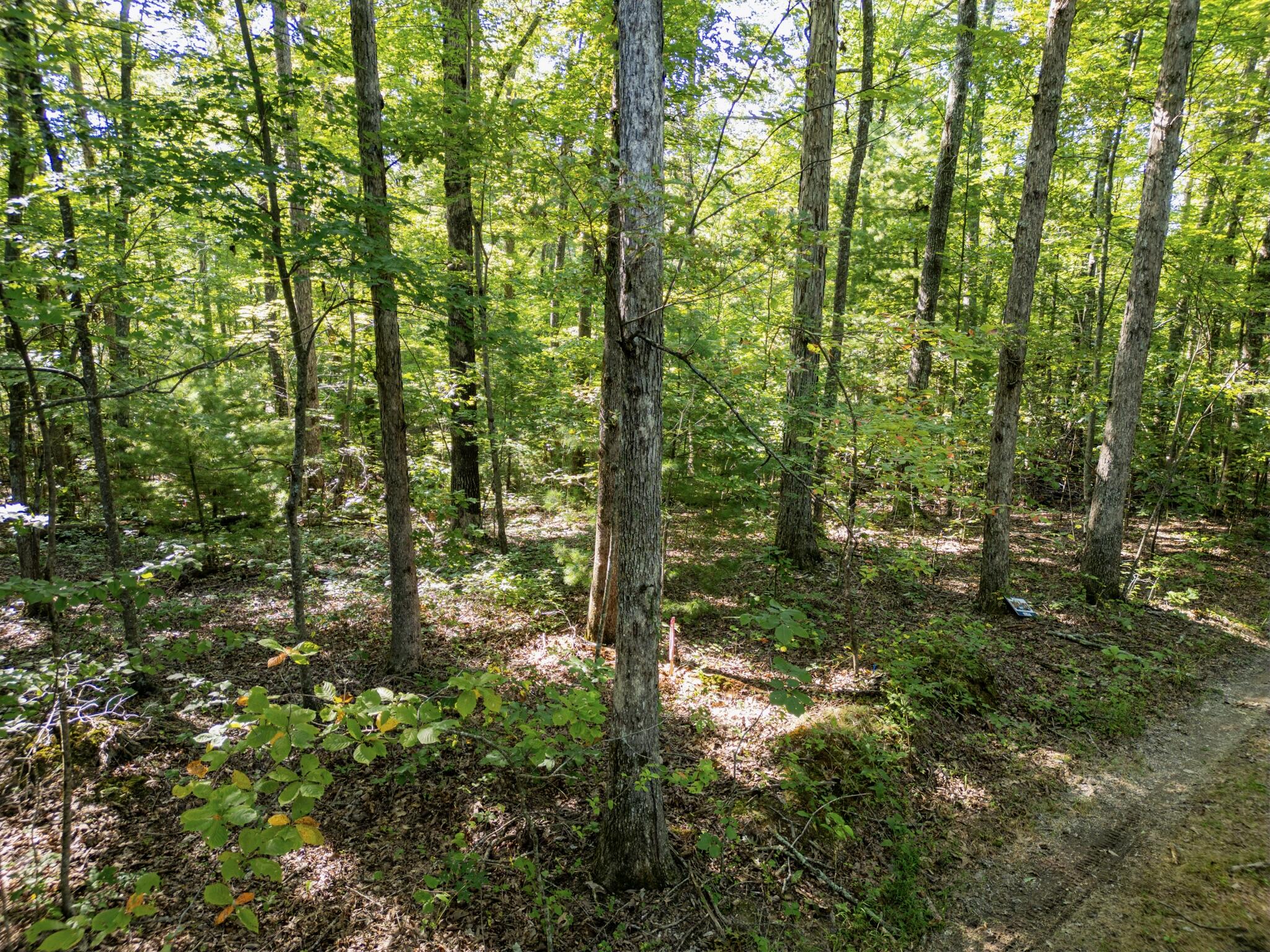Highlands Of Rrg Lot 654 Highlands Of Rrg Road Zoe, KY 41397 - Photo 9 of 15 DJI_0629-Enhanced-SR